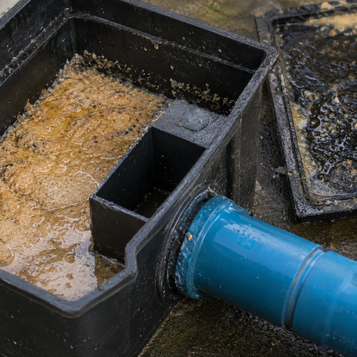 Open grease interceptor with a hardened layer of fat across the surface
